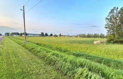 Frenzel Drive, Arlington, MN 55307