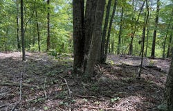 18.19 Ac Spence Ln, Hilham, TN 38568