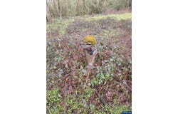 33058 Brewster Rd, Lebanon, OR 97355