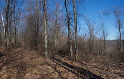 Audubon Road, Sewickley Heights, PA 15143