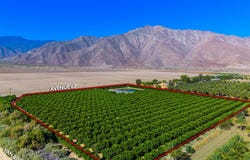 Ave 67 & Van Buren St, Thermal, CA 92274