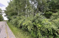1090 Carmen Drive lot: 43/44, Weidman, MI 48893