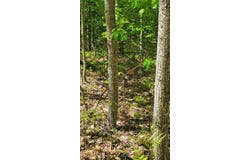 40 AC Werth Road, Alpena, MI 49707