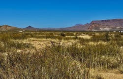 TR:9037 Highlander Rd., Terlingua, TX 79852