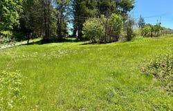 Walnut Street, Pawling, NY 12564