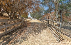 47735 Thunderhill Lane, Yokuts Valley, CA 93675