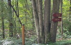11 Maplewood Road, Ithaca, NY 14850