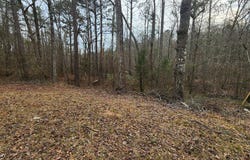 Monument Road, Pine Mountain, GA 31833