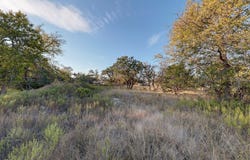 Dian Dr, Harper, TX 78631