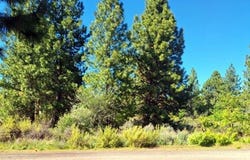 Shoreview Drive, Chiloquin, OR 97624