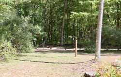 V/L N Bear Track, White Cloud, MI 49349