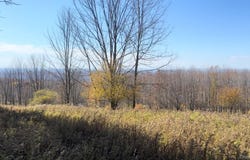 Chaffee Road, Liberty, NY 12754