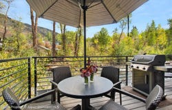 1039 E Cooper Avenue, Aspen, CO 81611