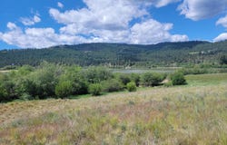 CURLEW Dr, REPUBLIC, WA 99166