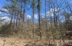 Turkey Creek Road, Natchez, MS 39120