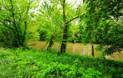 73 Butter Point Road, Jackson, KY 41339