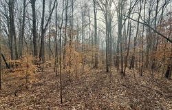 62 Willis Bluff LN, Cumberland, VA 23040