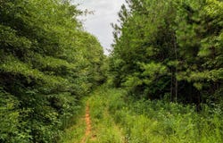 Double Pond Trail, Hayden, AL 35079