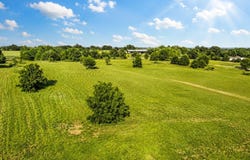 TBD L2 Pine Acres, Whitney, TX 76692