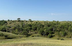 250 +/- Acres, Gregory County, Fairfax, SD 57335