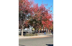 231 E Street, Lemoore, CA 93245