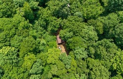 163 Diatter Fork, Frametown, WV 26623