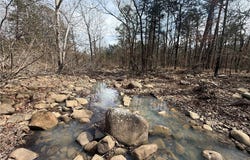 Pea Ridge Road, Havana, AR 72842