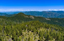 Forest Rte 4n20 Road, Hyampom, CA 96046