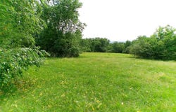 TBD Pine lot: 0, Altus, AR 72821