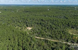 15 ACRES Native Creek Rd, Pace, FL 32571