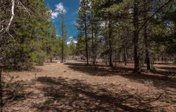 15961 Wright Avenue, La Pine, OR 97739