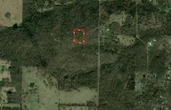 2371 County Road 359, Thayer, MO 65791