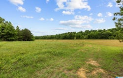 HIGHWAY 191 lot: 107 Acres, MAPLESVILLE, AL 36750
