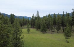 Tract A West Meadow Road, Darby, MT 59829