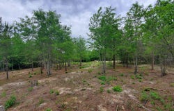 ----- SR 19, Dublin, GA 31021