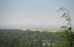 OCEAN VIEW Dr, Florence, OR 97439