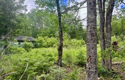 M2L12 Wellington Road, Harmony, ME 04942