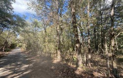 DOLL CONWAY Rd, Clifton, TN 38425