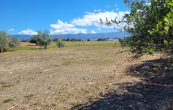 Mt Pleasant, UT 84647