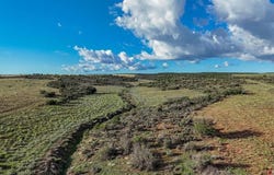 Road X, Dolores, CO 81323