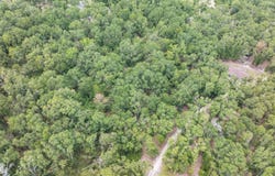 OBrien, FL 32071