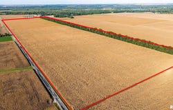 BUCKHART Road, Rochester, IL 62563