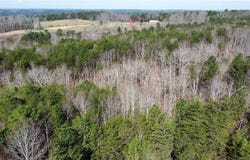 1 Highway 13, Nauvoo, AL 35575
