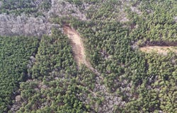 County Road 311, CALHOUN CITY, MS 38916