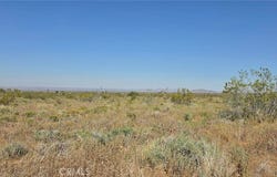 173rd E W-12, Llano, CA 93544