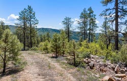2511 Taylor Ranch Road, Durango, CO 81301