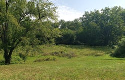 340 Albright Road, Coldwater, MI 49036