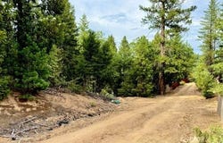 360 Sandridge Ct, Hayfork, CA 96041