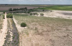 County Road 193, Muleshoe, TX 79347