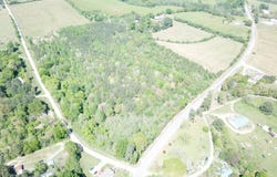 921 County Road 787, Cullman, AL 35055